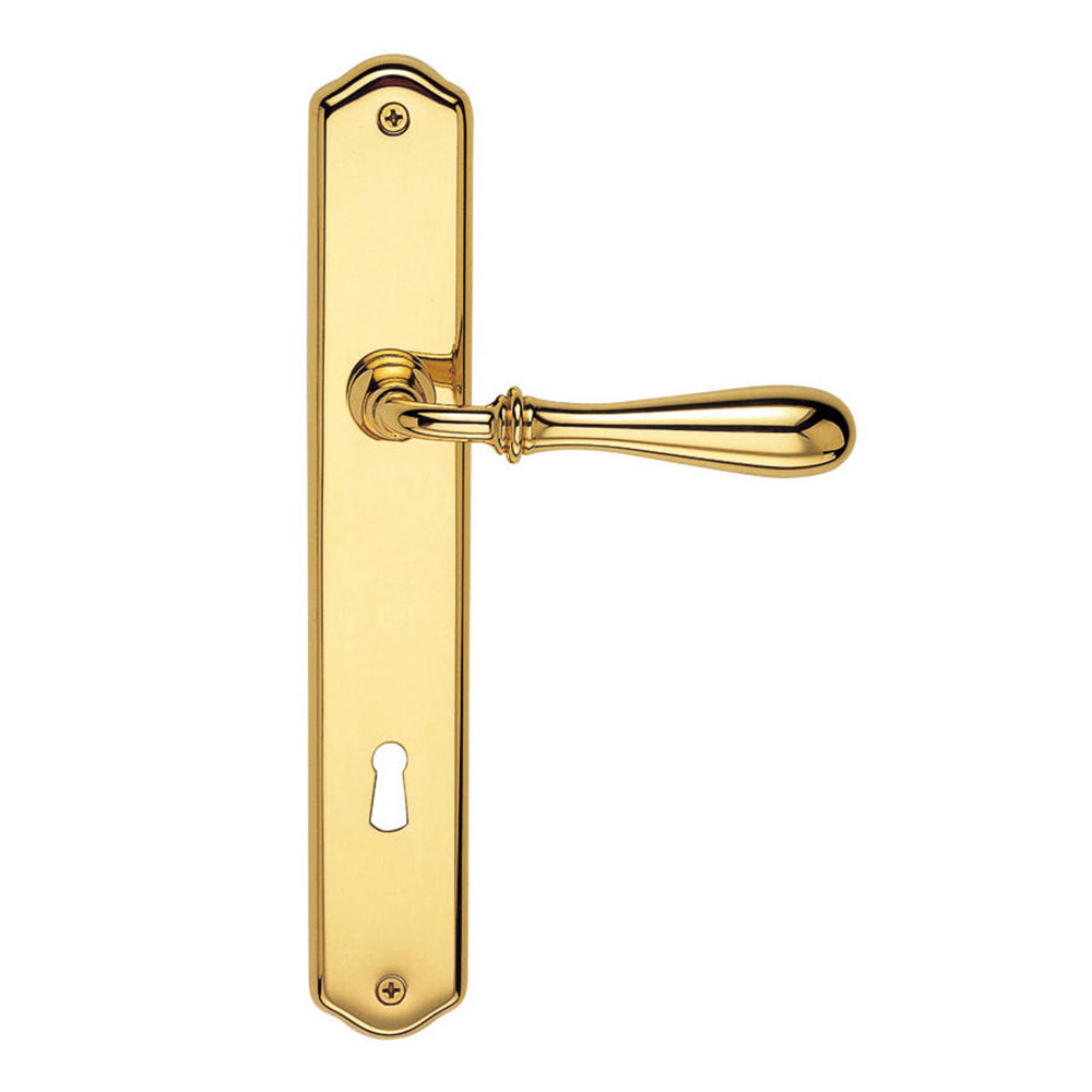 Door Handle H1004 Antares Ideal for Valli & Valli Architectural Restoration