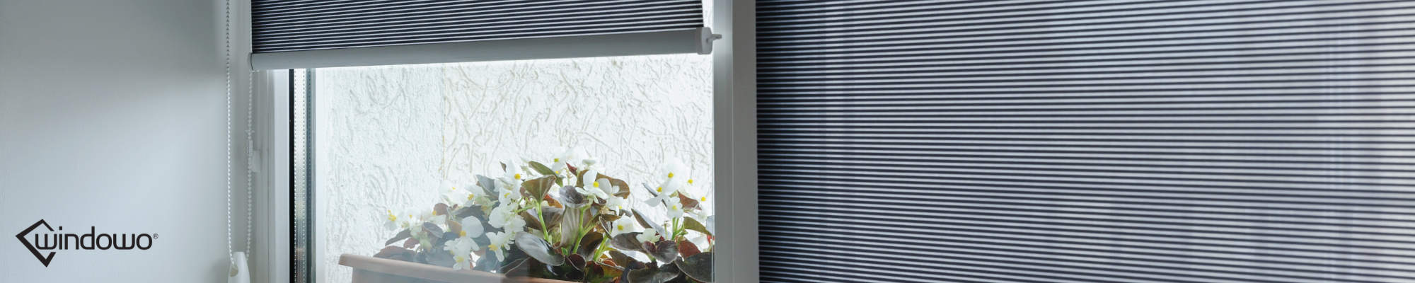 Roller Blinds for Indoor Sale Online