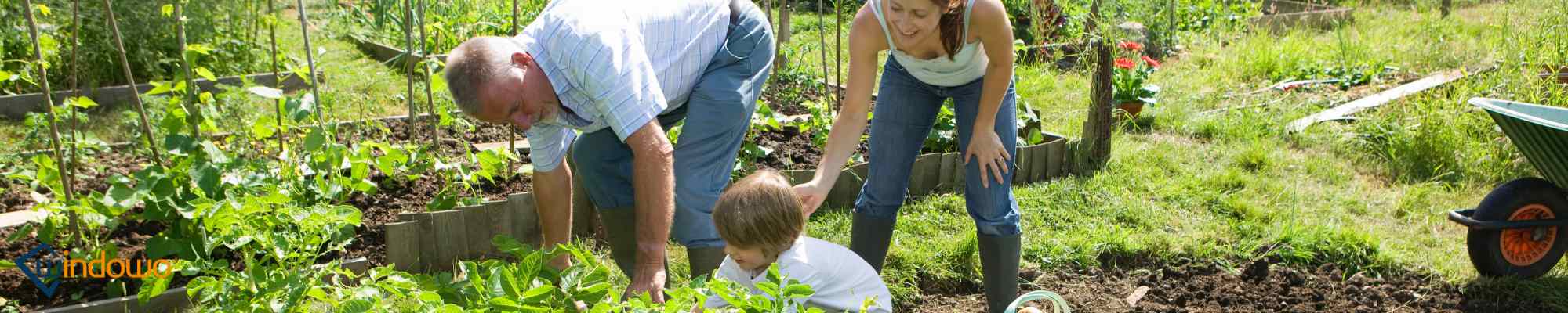 abris de jardin en bois