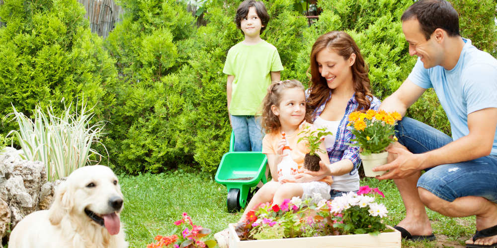 Ama il giardino con prodotti per esterni Losa