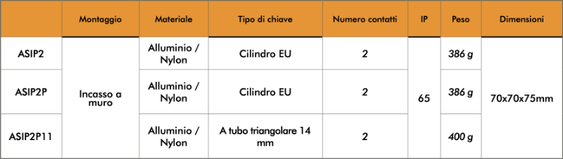 Selettore a Chiave da Incasso a Muro per Cancello