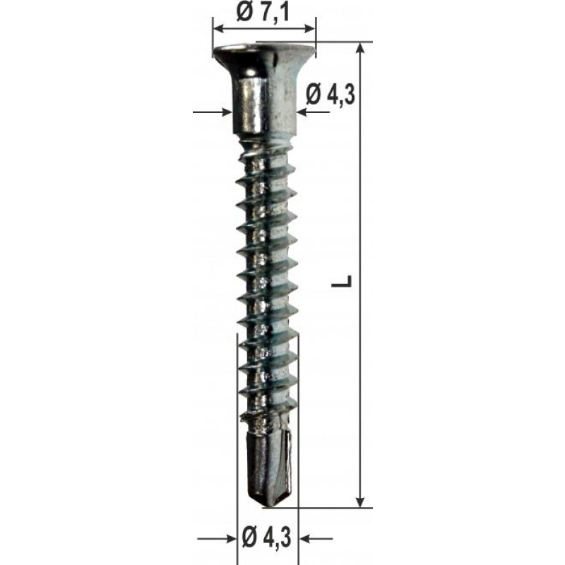 Viti Speciali Antieffrazione Ferramenta Varie Dimensioni 1000 pz Heicko