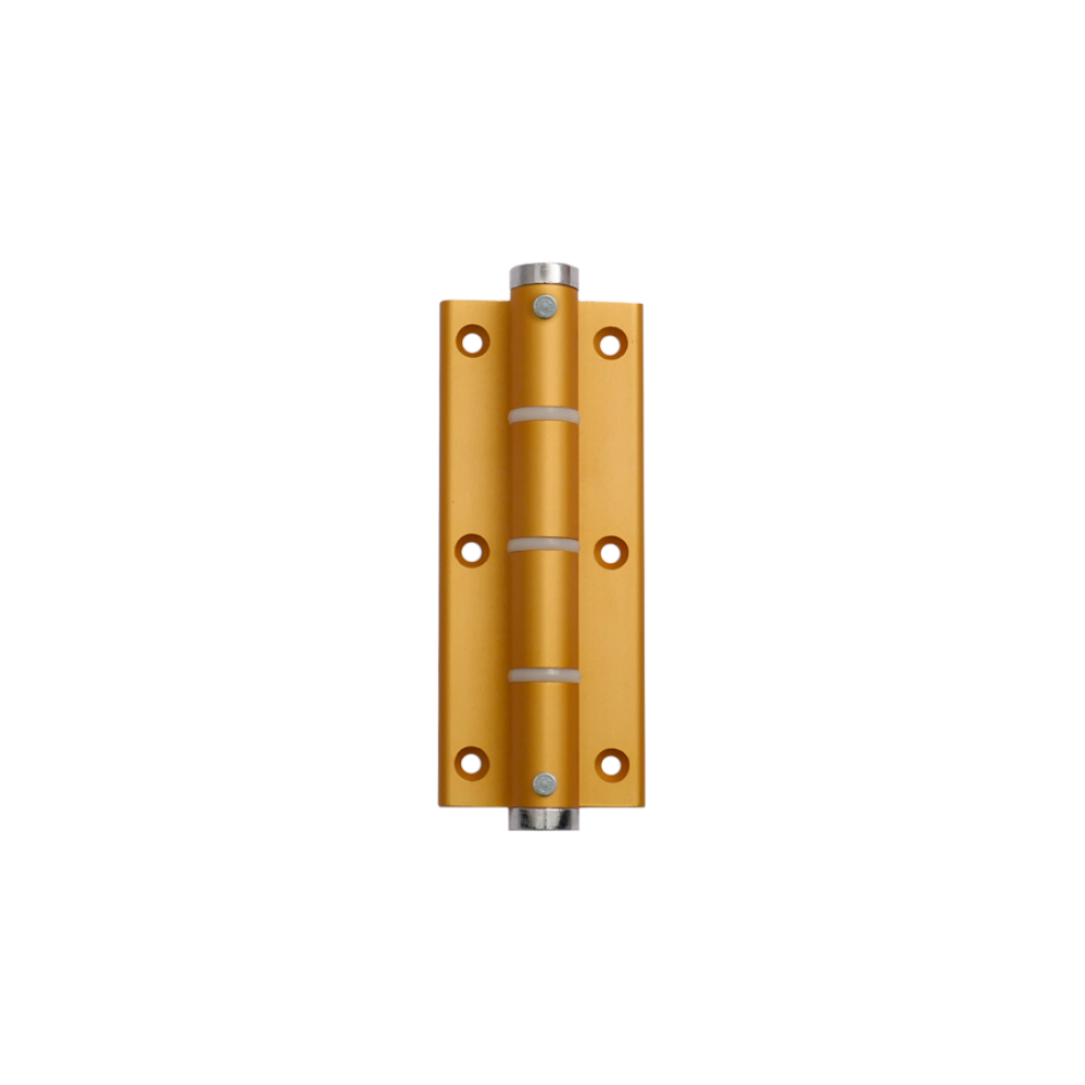 DANNERT Ferme-porte Justor, Largeur de porte 1100 mm, acier inoxydable, Taille FR 2, 1 pièce