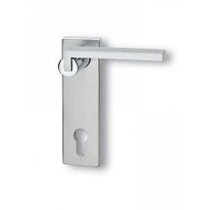 Coppia di Maniglie con Placca Ghidini Cartesio Q OCL-M4/F1