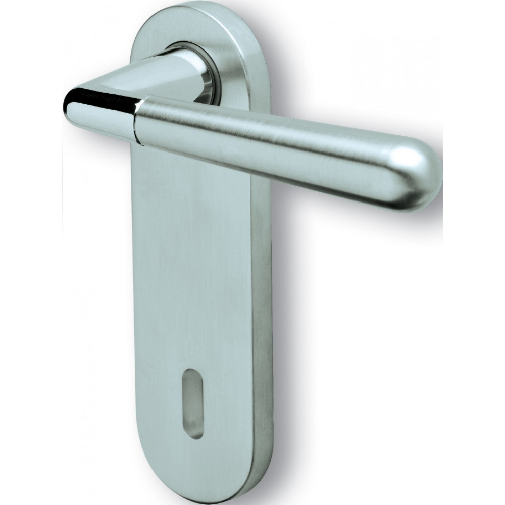 Coppia di Maniglie con Placca Ghidini Ginevra