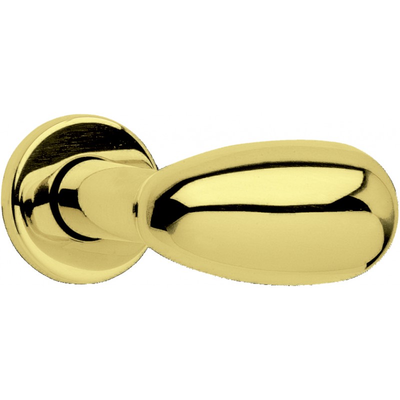 Coppia di Maniglie Ghidini Modello Pigna OLV M1 con Rosette e Bocchette