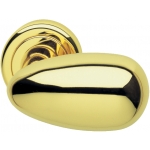 Coppia di Maniglie Ghidini Modello Pigna OLV M1 con Rosette e Bocchette