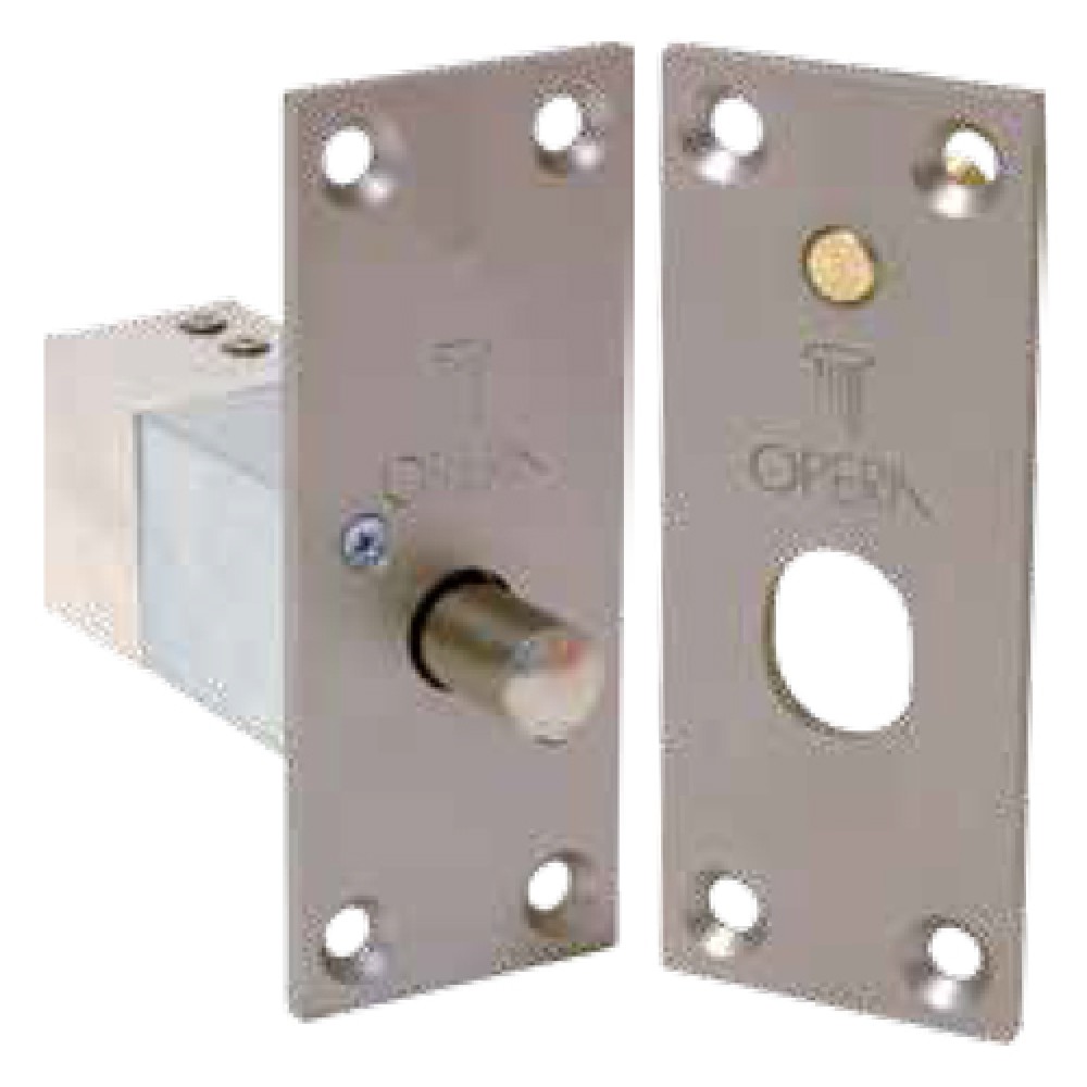 Elettropistone di Sicurezza Chiuso e Microinterruttore 21811 Serie Quadra Opera