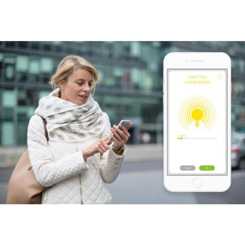 Luci Smart e Connesse con Somfy Izymo Ricevitore ON/OFF IO