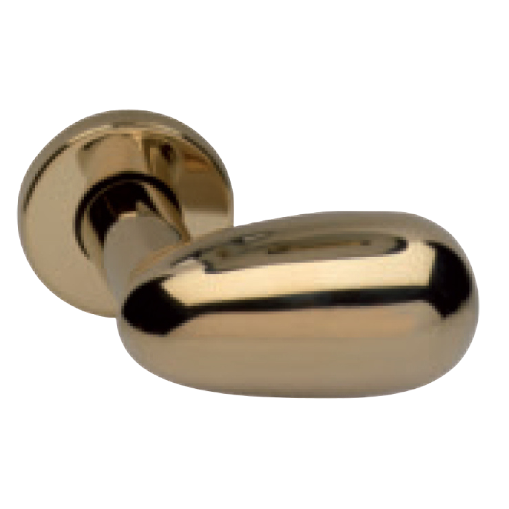 Maniglia Ghidini Pigna G-PLUS M36 con Rosette e Bocchette