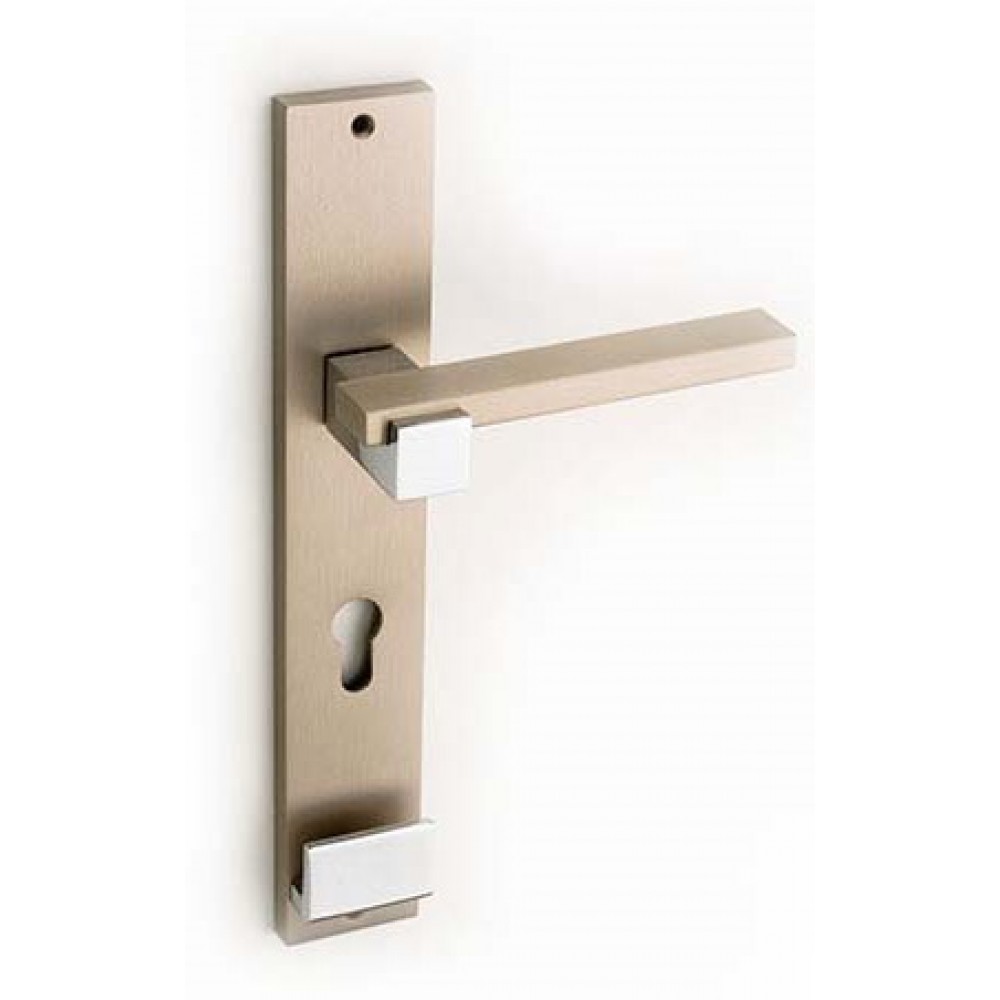 Plus Line Maniglia per Porta su Placca Fashion Line PFS Pasini