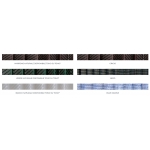 SharkNet 04 Zanzariera Plissettata con Piattina da 4mm Senza Nessun Ostacolo a Pavimento