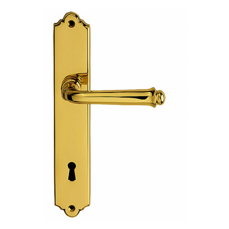 Siena Maniglia su Placca Ideale per Casa Signorile Fatta in Italia Bal Becchetti